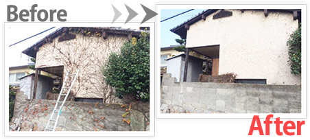 ツタ 雑草の除去 Before After