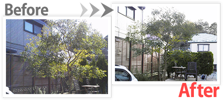 庭木の剪定 Before After