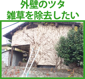 外壁のツタ 雑草を除去したい