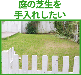 庭の芝生を手入れしたい
